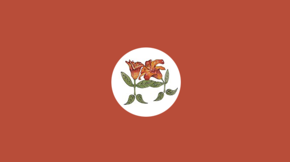 青島萱草咨詢小程序定制開發